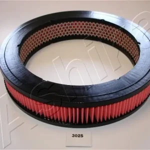 Wyjątkowa oferta Filtr powietrza ASHIKA 20-03-302