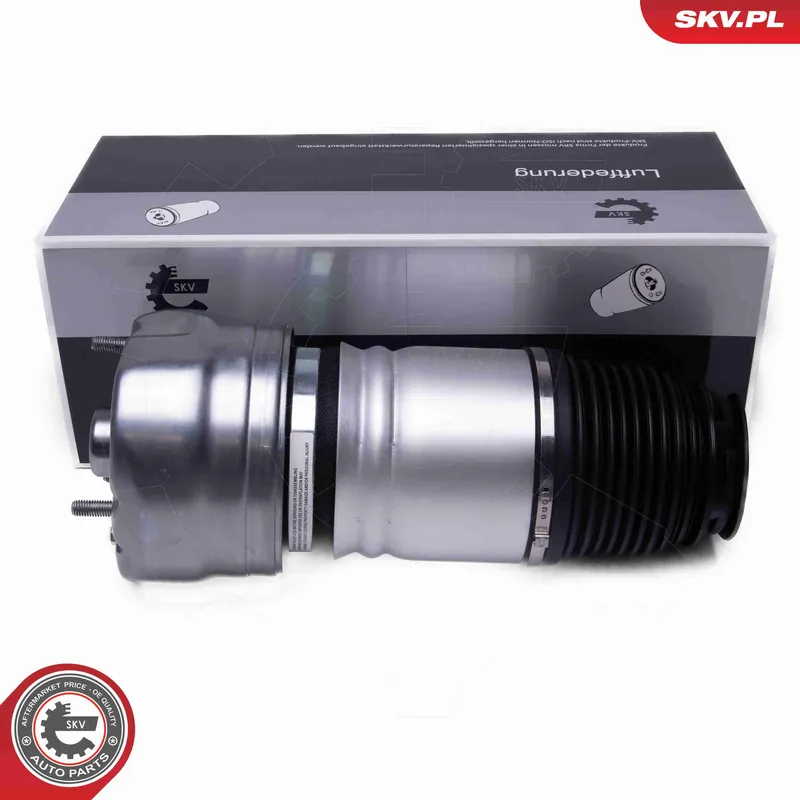 Amortyzator pneumatyczny ESEN SKV 58SKV079 Wyjątkowa oferta